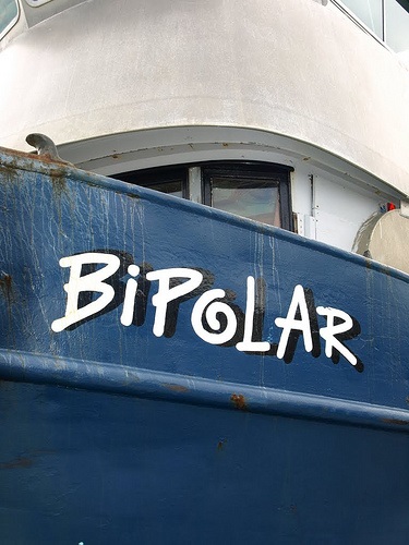 Breakdown of the Diagnosis: Bipolar Disorder